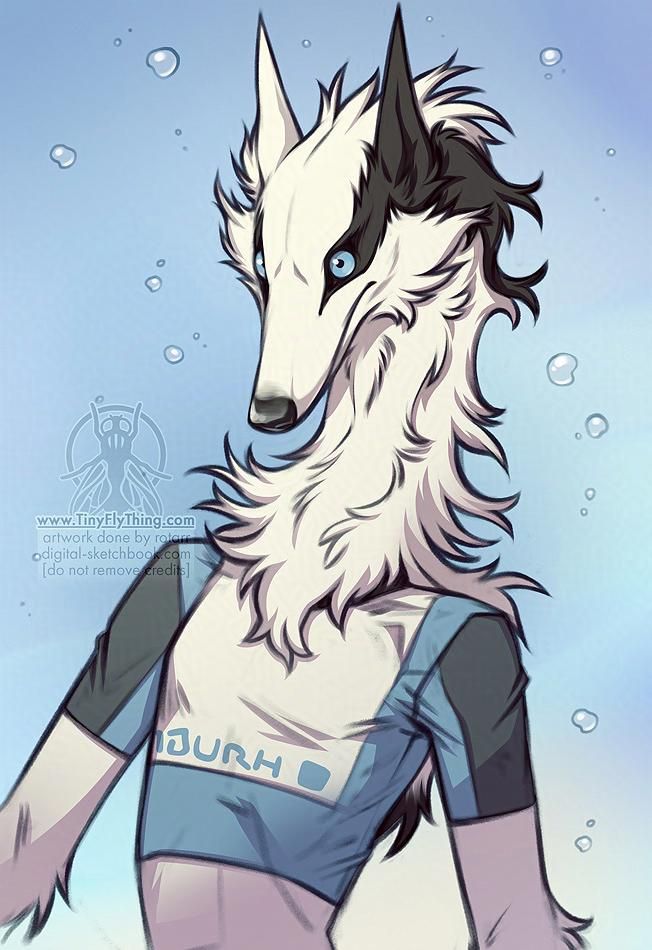 slim black and white anthro dog with a swim shirt on probably underwater