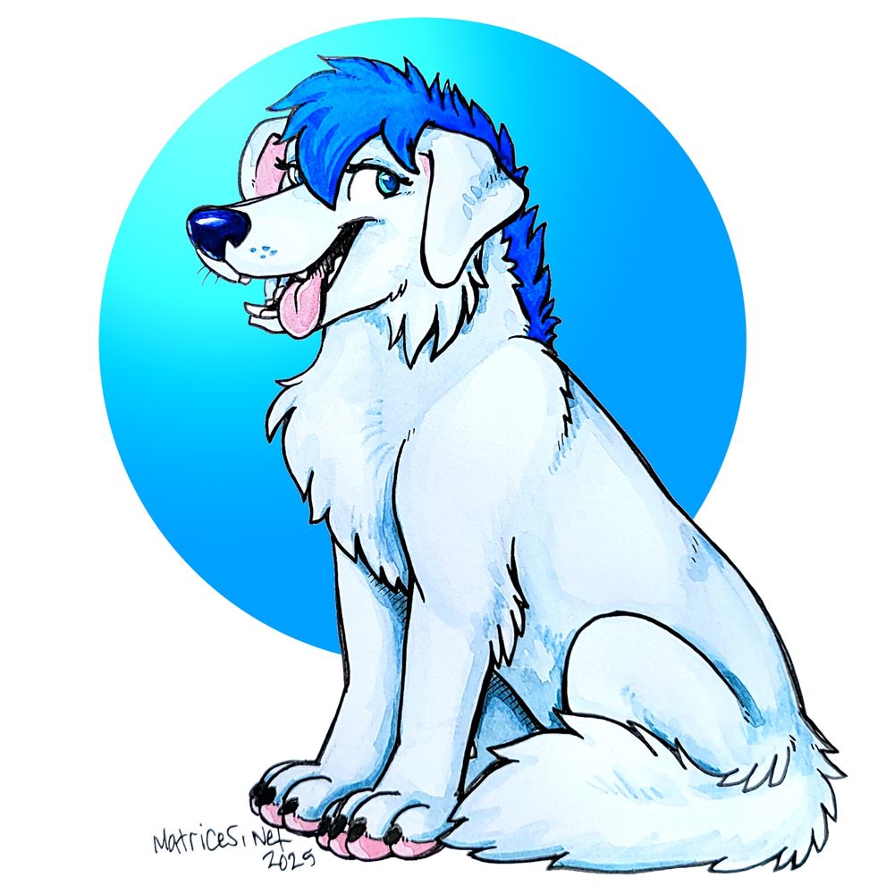 Icey is a labrador fox hybrid with a labrador retriever body shape and fox fluffs, and a blue fauxhawk hairstyle. She sits cutely with her tail wrapped around her haunches. She is white and blue. #furry #watercolors 