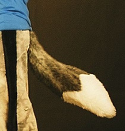 Another view if the delrin rod tail I made. 