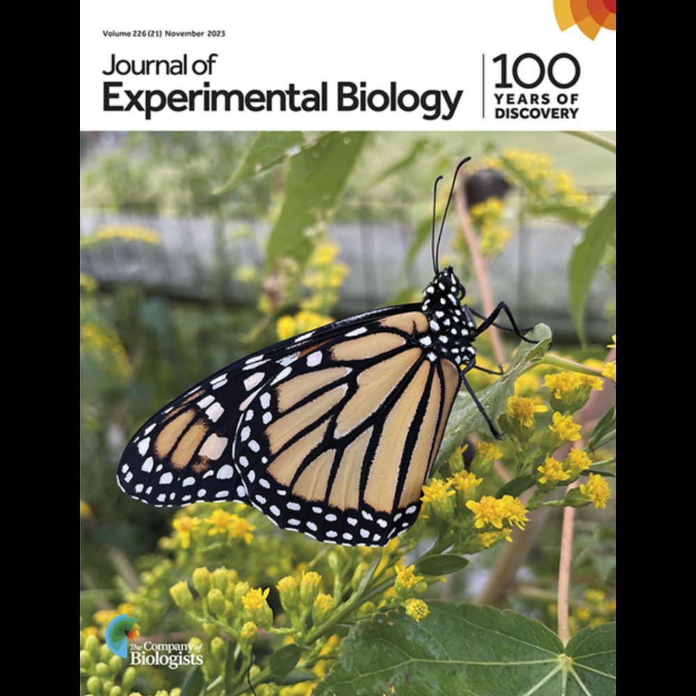 A meta-analysis of butterfly structural colors: their color range, distribution and biological produ...