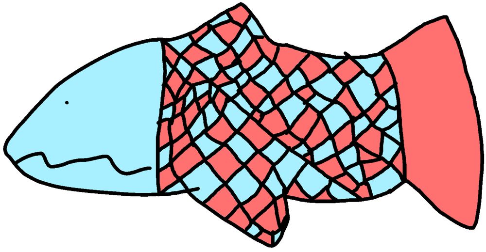 pastel blue and pastel red fish with a non-uniform checkerboard pattern