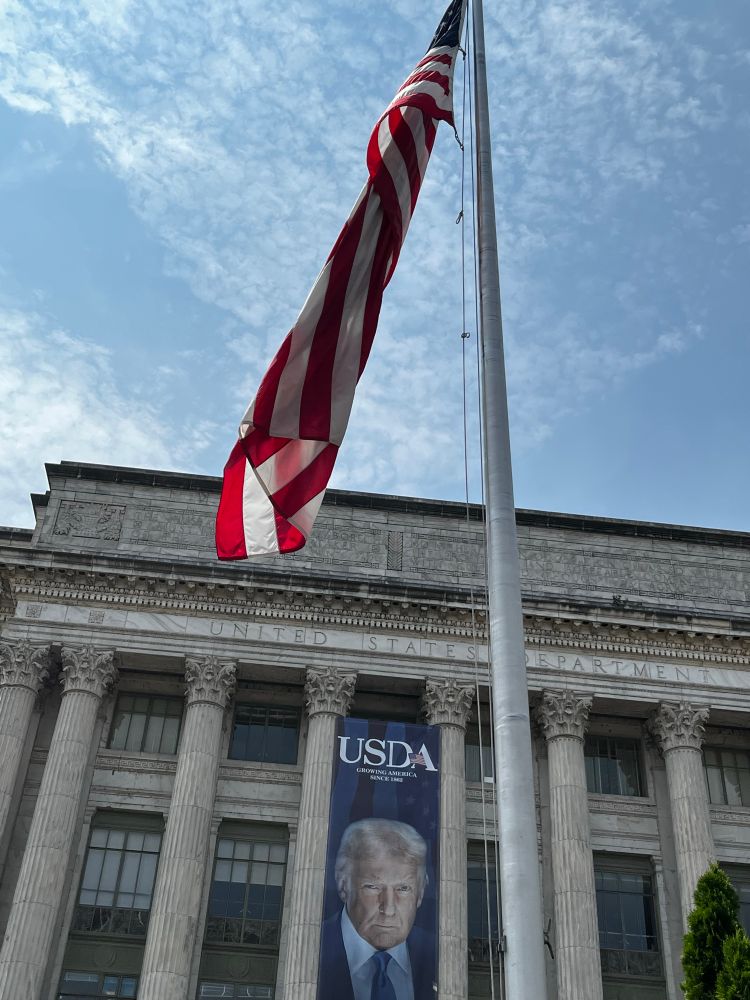 Post image (had no alt text on Bluesky)