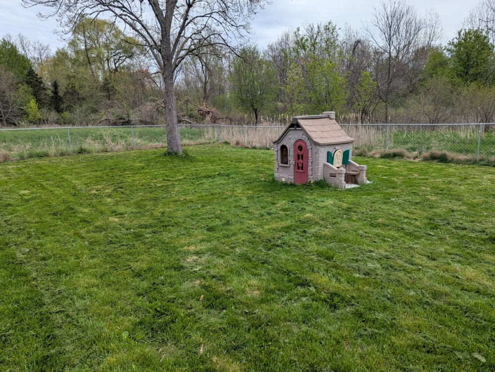 A freshly mowed fenced in yard with a tree and a little kids playhouse 