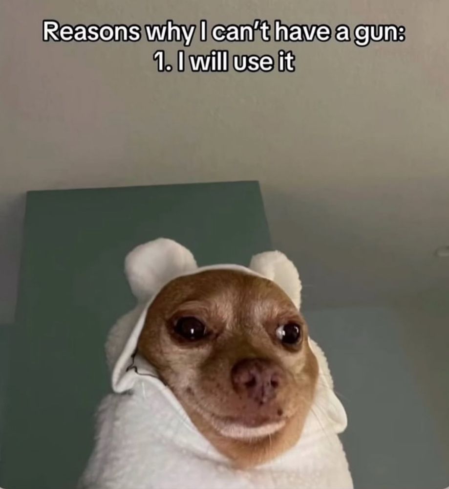 A dog meme that says “reasons why I can’t have a gun: one, I will use it”