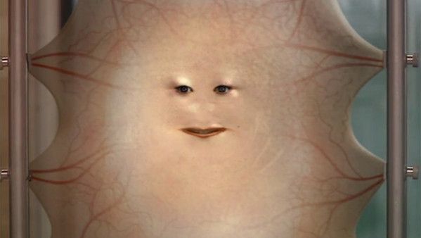 A large piece of skin with eyes and a mouth in the middle is stretched out and suspended in the air.