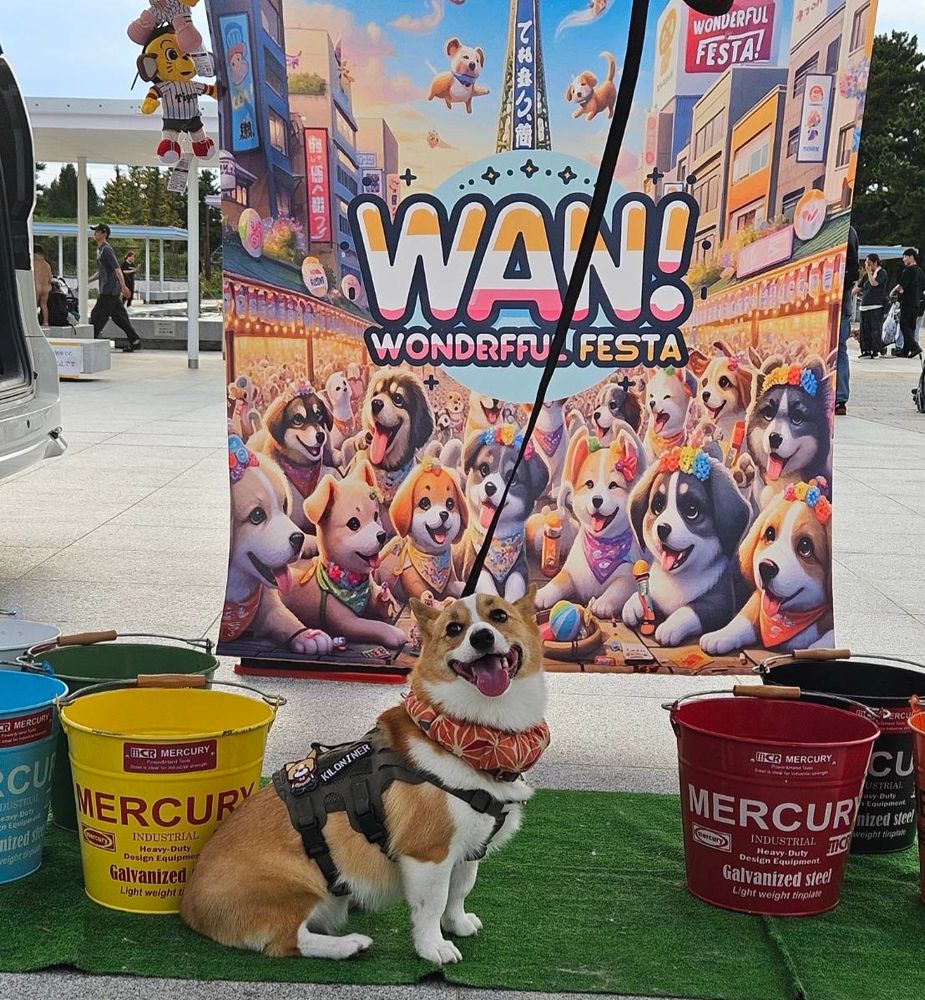 Wan!WonderfulFestaのフォトスポットで笑顔でおすわりするコーギー