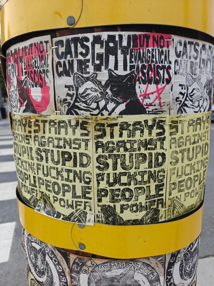 multiple signs on a telephone
"cats can be gay but not evangelical fascists" + gay cats kissing
"strays against stupid fucking people in power"