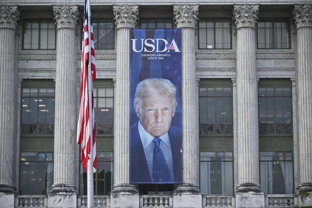 banner of trump on the side of a building 