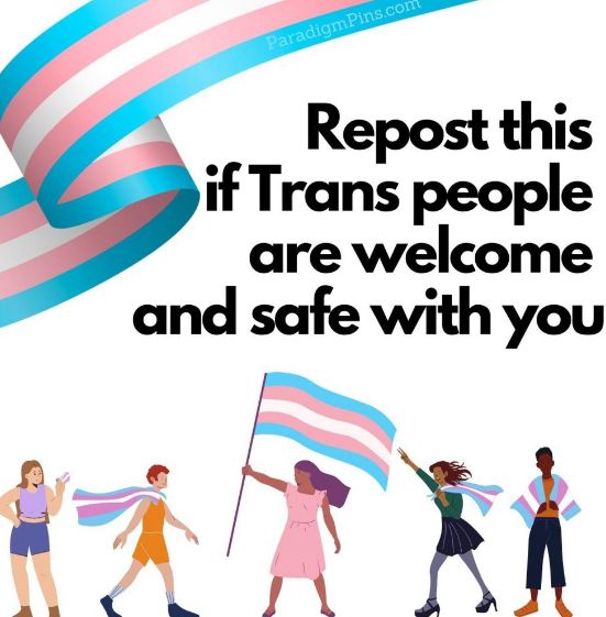 "Diverse group of people holding transgender pride flags with a supportive message in bold text."

Transcribed Text:

"Repost this if Trans people are welcome and safe with you"