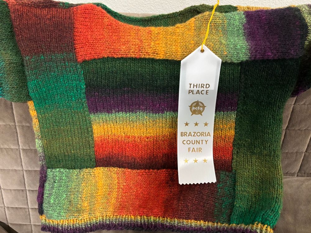 A short sleeved, cropped sweater in Noro Kureyon shade 88, hand knitted according to the pattern “Mystic Square” by James N. Watts. A third place ribbon from the Brazoria County Fair is displayed next to it. 