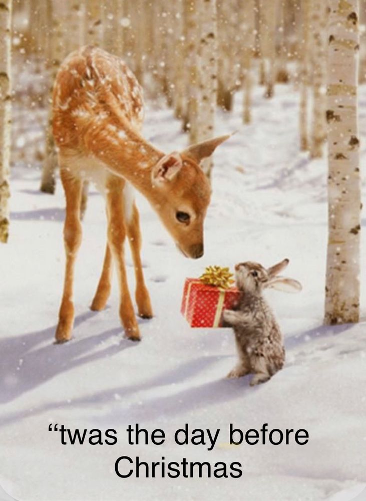 ‘Twas the day before Christmas