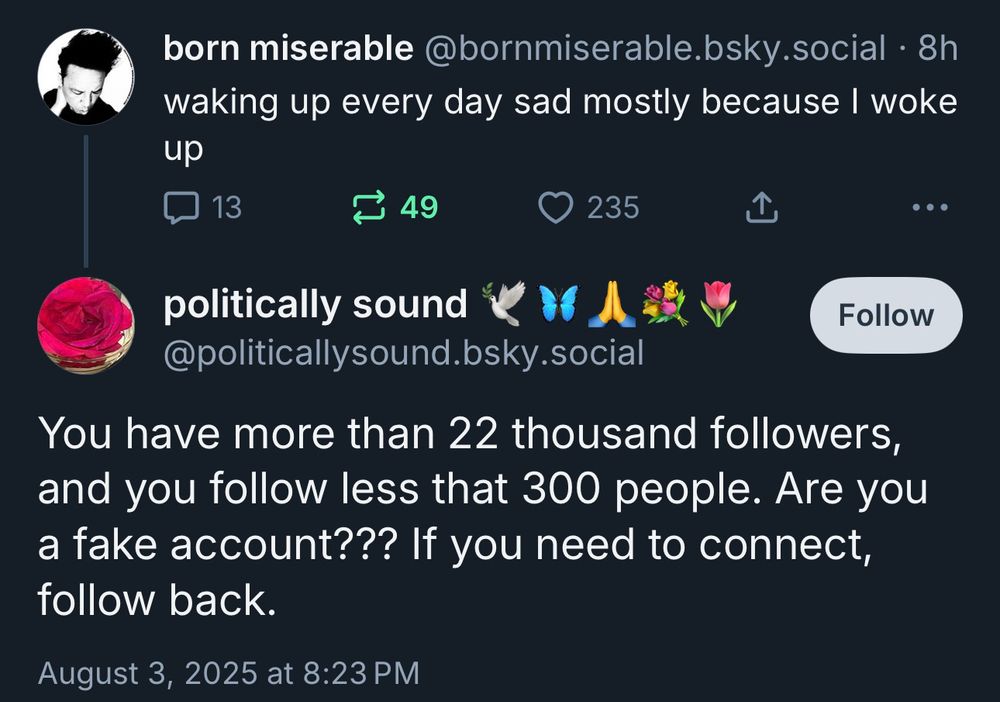 a screenshot of my post that reads “waking up every day sad mostly because I woke up” to which @politicallysound.bsky.social responds with “You have more than 22 thousand followers, and you follow less that 300 people. Are you a fake account??? If you need to connect, follow back.”

uhhhhhh what the fuck