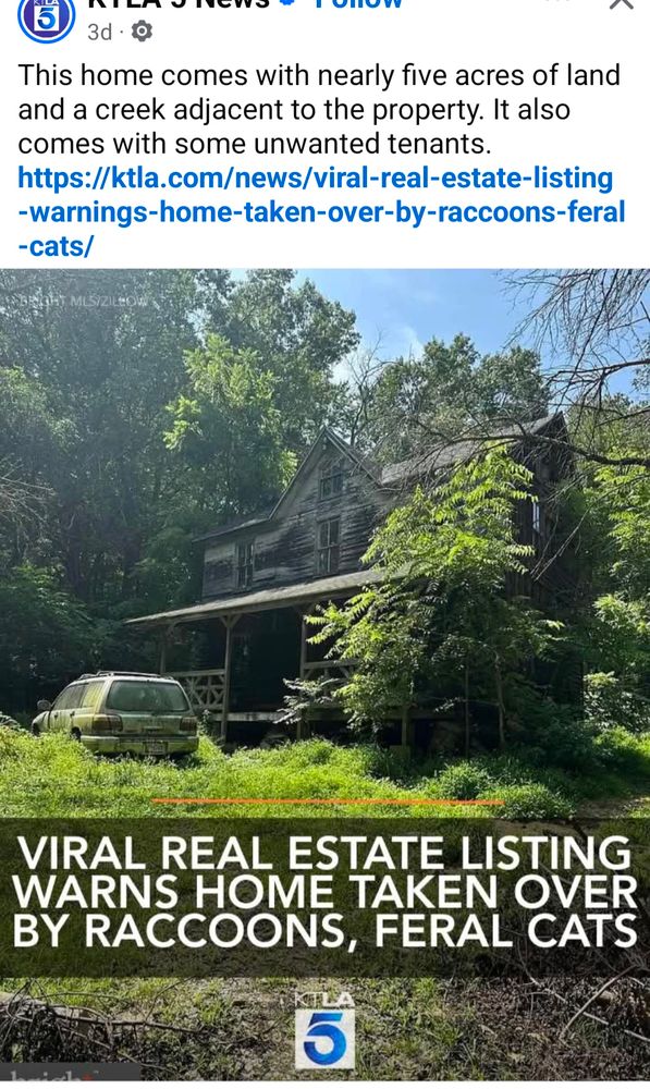 A dilapidated house with a broken car out front. Lots of trees and greenery. Text: This home comes with nearly five acres of land and a creek adjacent to the property. It also comes with some unwanted tenants. https://ktla.com/news/viral-real-estate-listing -warnings-home-taken-over-by-raccoons-feral -cats/