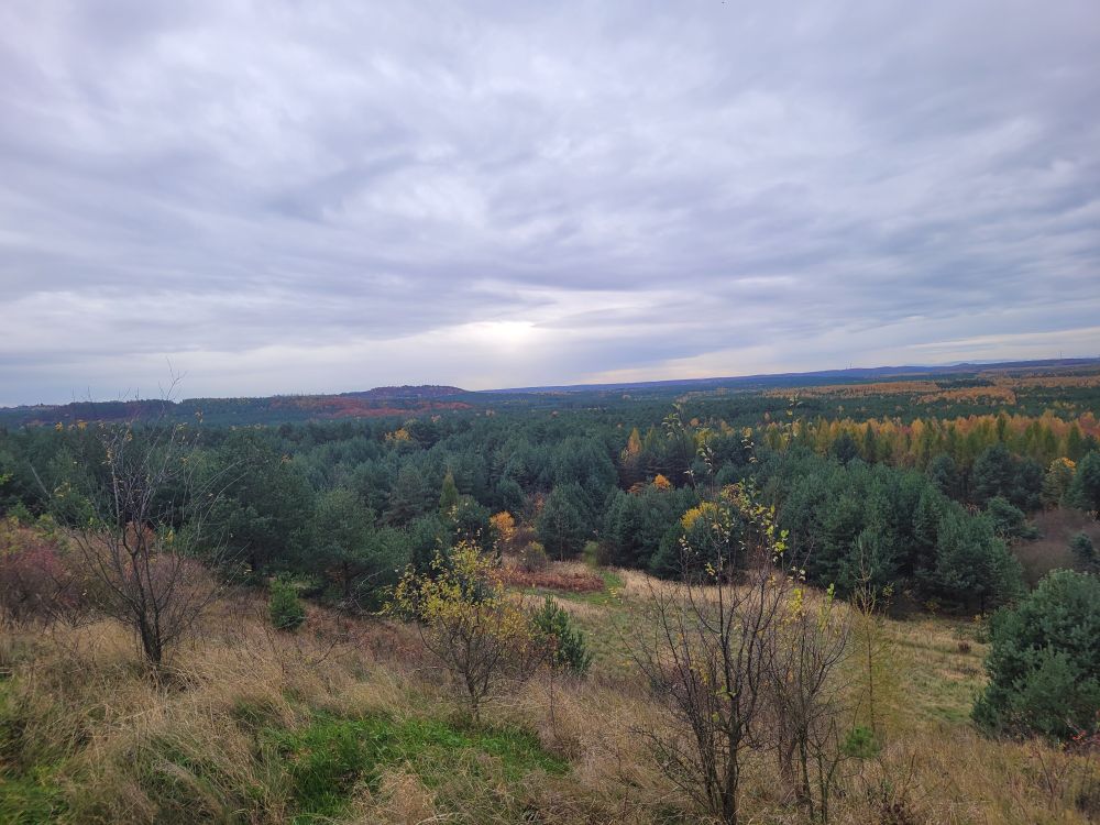 The other side of the view. Colorful forest as far as the eye can see