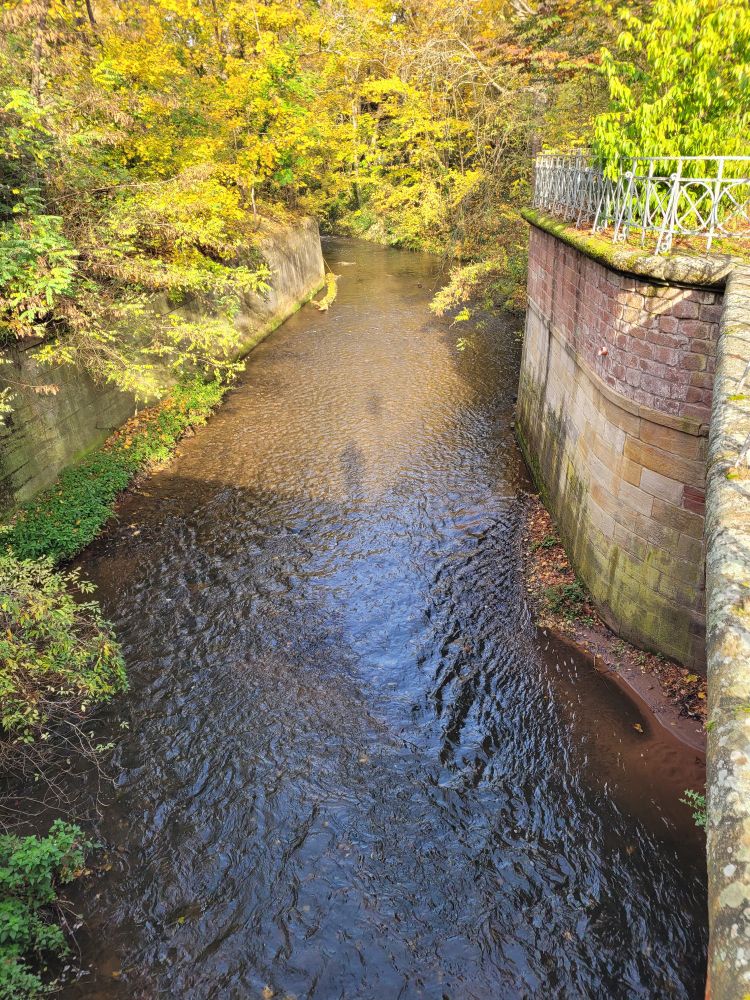 A stream running through town. There are retaining walls on each side of it but becomes a bit less channelized as it moves away from the viewpoint of the camera. Trees with pretty golden leaves overhang the banks
