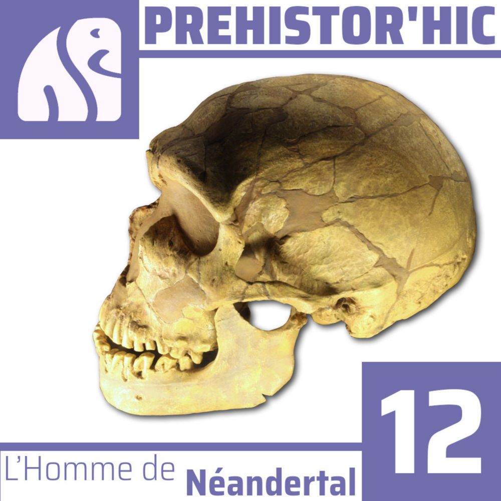 Prehistor'hic - L’Homme de Néandertal - Podcast Addict