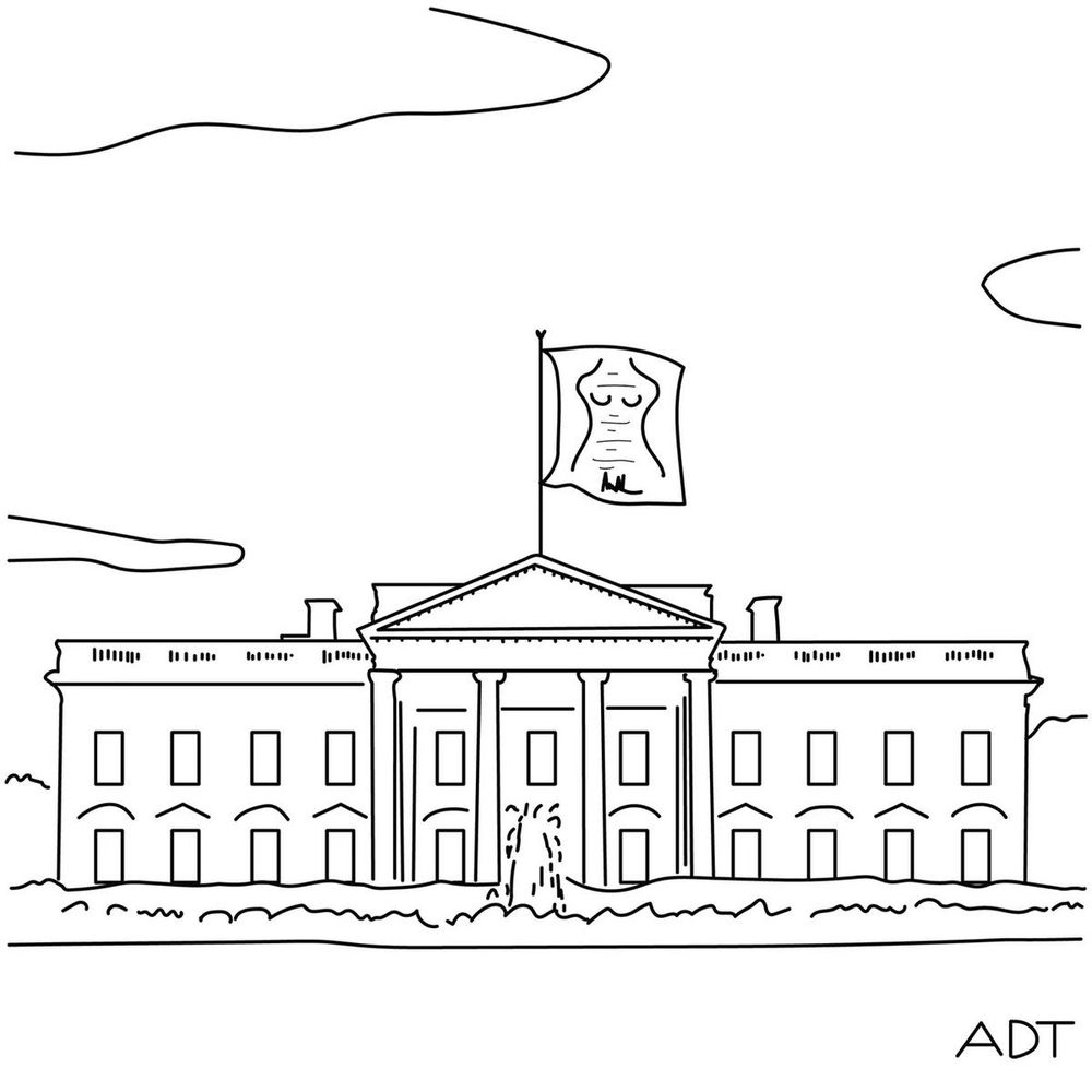 cartoon of the White House flying a flag with the birthday cartoon message from Trump to Epstein on it