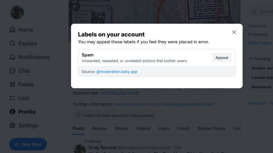 I had an idea. Why not accept Bluesky's invitation to set up a 2nd account to post high def photographs of counterculture and drug iconography from around the world. 

So I set it up and made a single post, announcing the book. It was immediately designated as a spam account and made invisible. WTF?