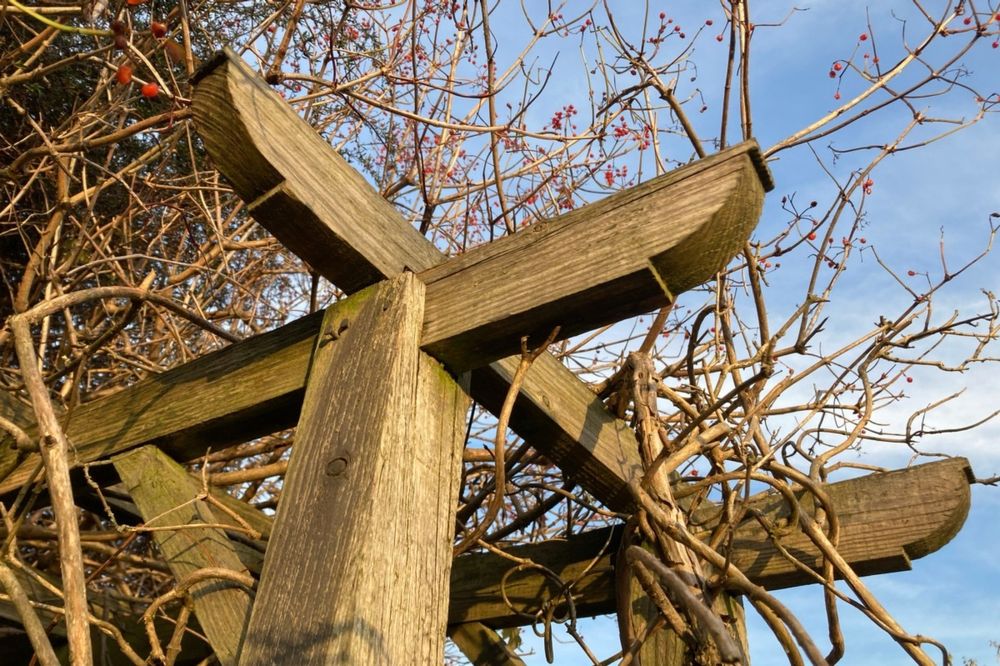 A wooden arch in a garden, overgrown with climbing plants, viewed close from below at an angle.