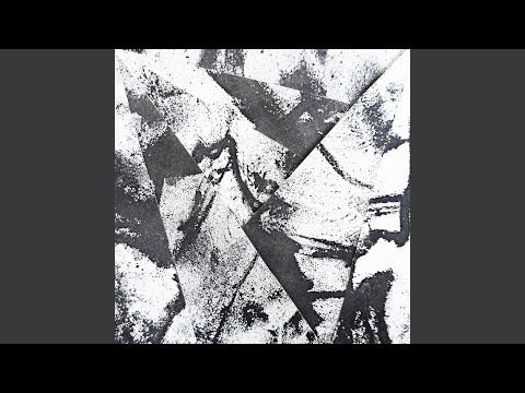 Mycelium