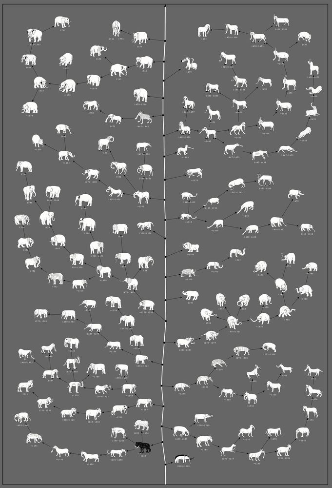 Elephas Anthropogenus
Uli Westphal (2008)
After the fall of the Roman Empire, elephants virtually disappeared from Western Europe.
Since there was no real knowledge of how this animal actually looked, illustrators had to rely on oral and written transmissions to morphologically reconstruct the elephant, thus reinventing an actual existing creature. This tree diagram traces the evolution of the elephant depiction throughout the middle ages up to the age of enlightenment