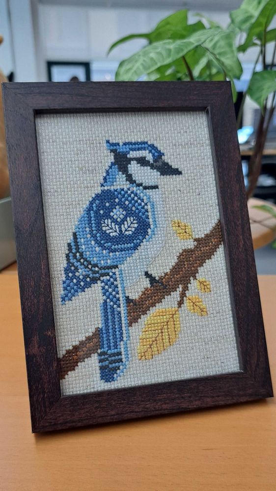 Framed cross stitch of a blue jay sitting on a branch with yellow leaves.