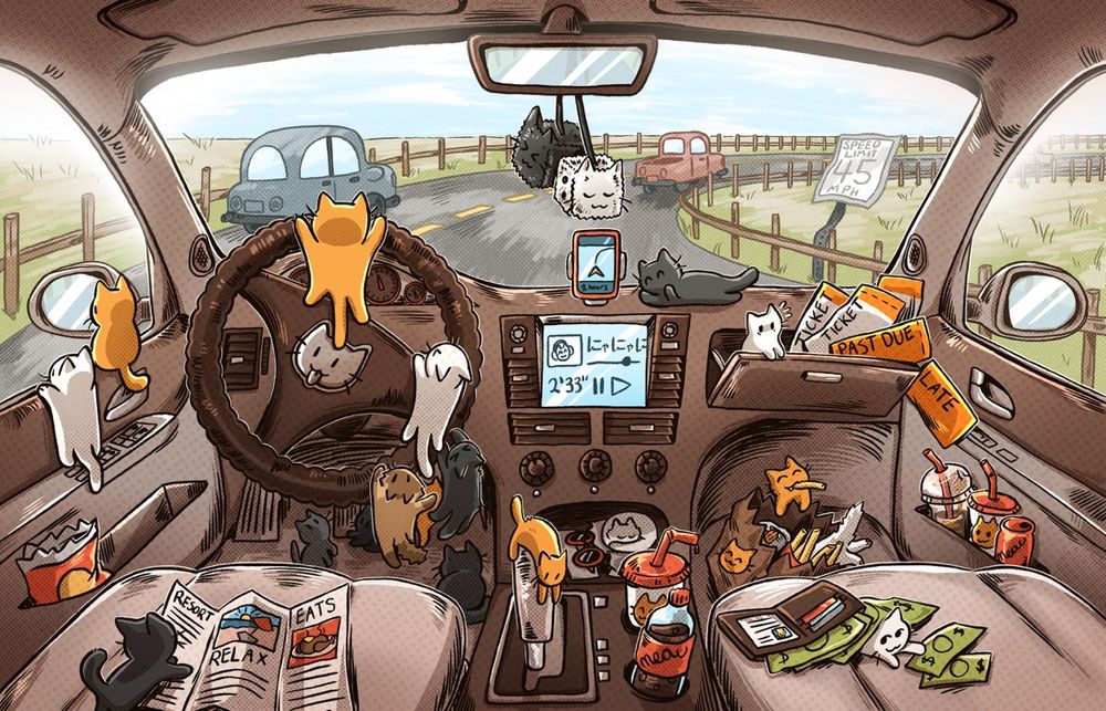 A bunch of cats driving a car