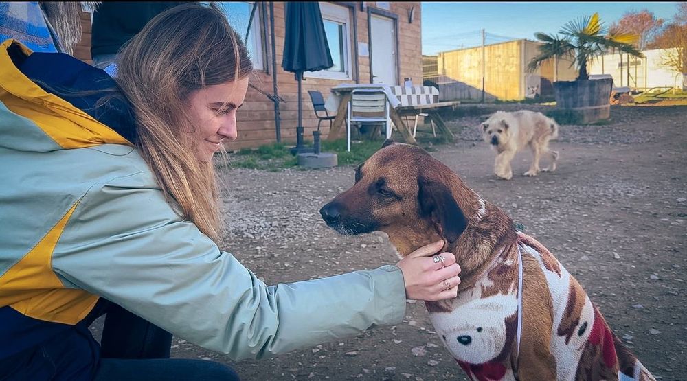 Emma avec un chien handicapé 