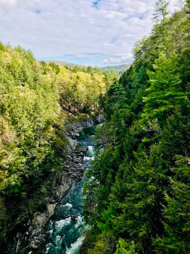 Stunning view of a deep wooded canyon with rushing river rapids below 