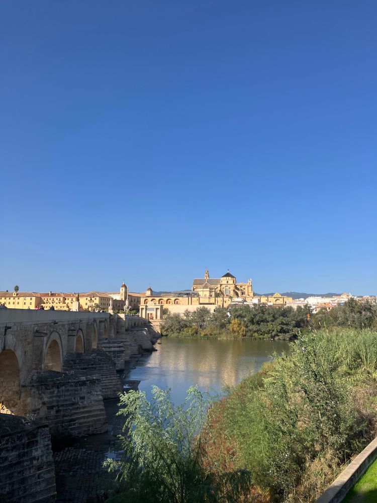 Foto de la Mezquita-Catedral de Córdoba. Se aprecia el edificio al fondo; a la izquierda de la foto se ve el Puente Romano, con sus míticos arcos, y a la derecha la vegetación que acompaña al río Guadalquivir
