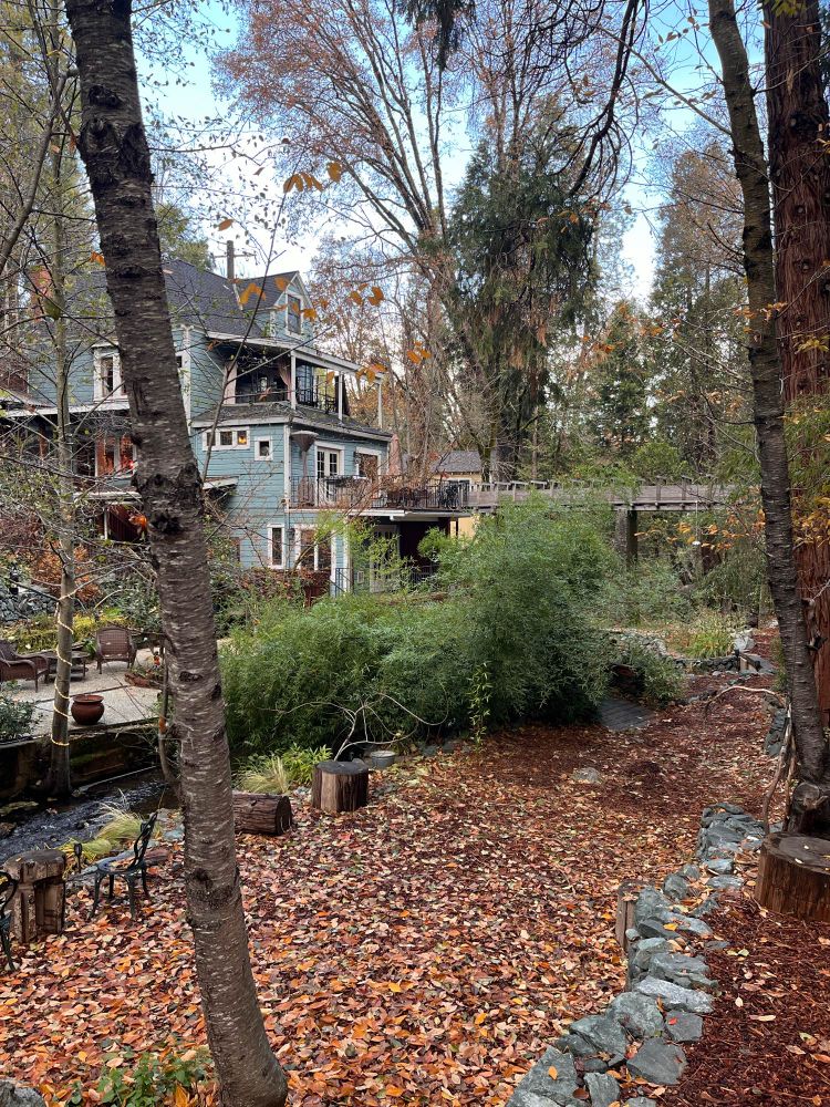 A view of the main house from our yurt. 