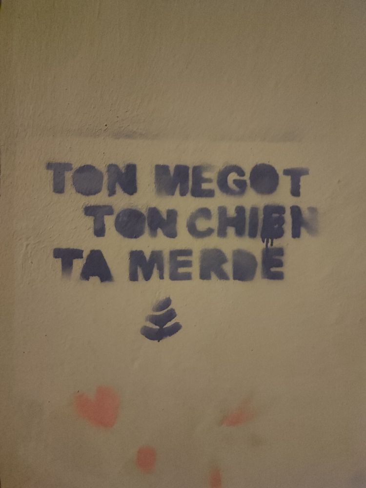 Tag à Lyon, ton mégot, ton chien, ta merde 
