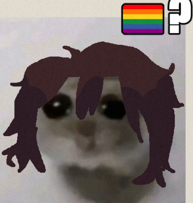hamster avel gay panik 