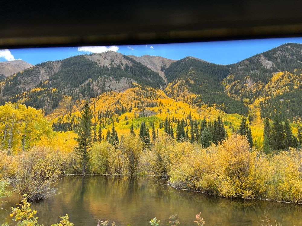 A spread of fall yellow trees in front of some mountains but behind a river on a sunny day
