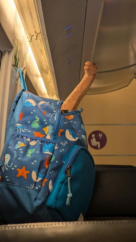 A toy dinosaur peeks out from a blue child's backpack hanging on a hook in a train carriage