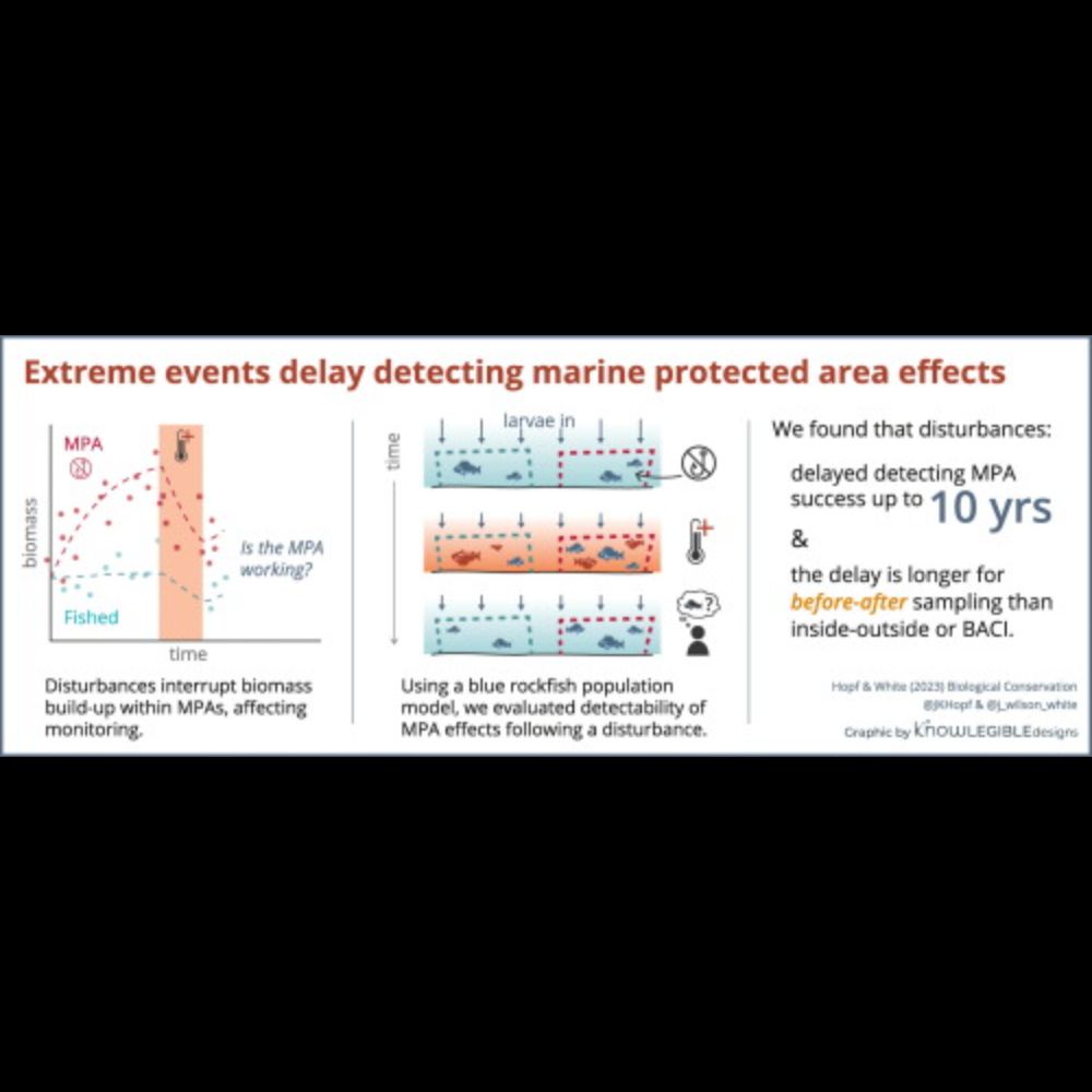 Extreme events delay the detection of marine protected area effects: Implications for monitoring and...