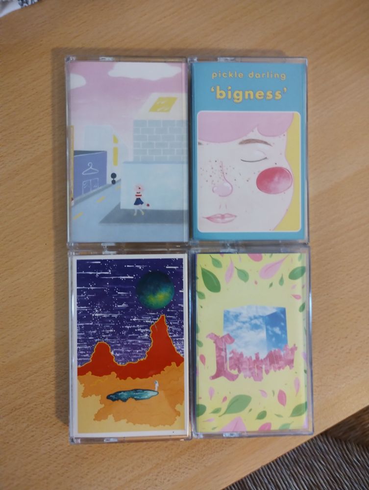 All of Pickle Darling's previous releases, on cassette