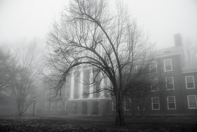 This photo shows a landscape in black and white with a foggy scene of a building and trees. The building is obscured by the fog, it is a Georgian style brick building with the central colonnade and three floors of Windows. The columns on the building are framed by an arching tree that bends in ways that perhaps a tree should not. It's a large tree that fills the frame from bottom to top and its lacy branches that are empty of leaves further obscure the building. The tree starts to bend as soon as it branches out from the trunk making it unsettling in how intensely it bends. The thought of the tree breaking or being in motion as a sentient and mobile being come to mind for me.