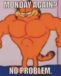 swole garfield "monday again no problem"