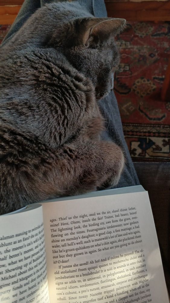 Open spread of Finnegans Wake and Oblina, the old gray cat who loves lap, sun, and books more than any other cat in the whole world.