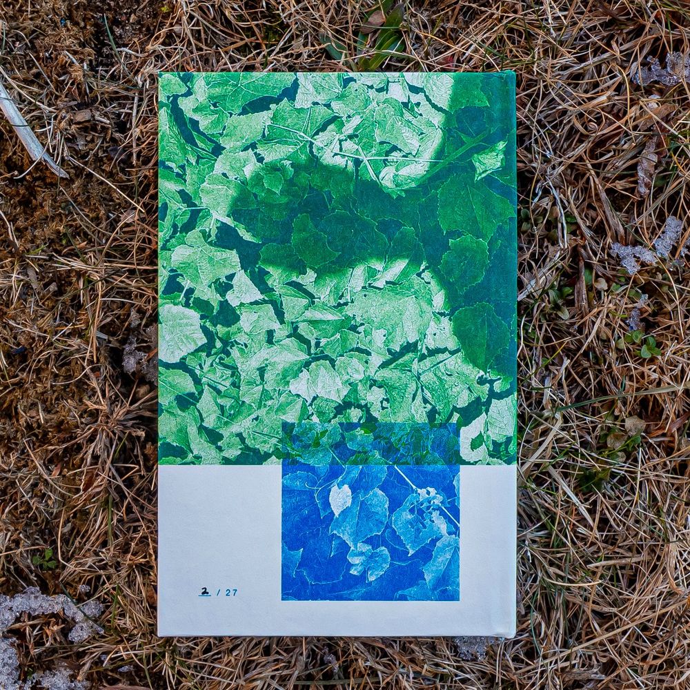 Back cover of "How to Fight No One" on dead grass, showing hand numbering.