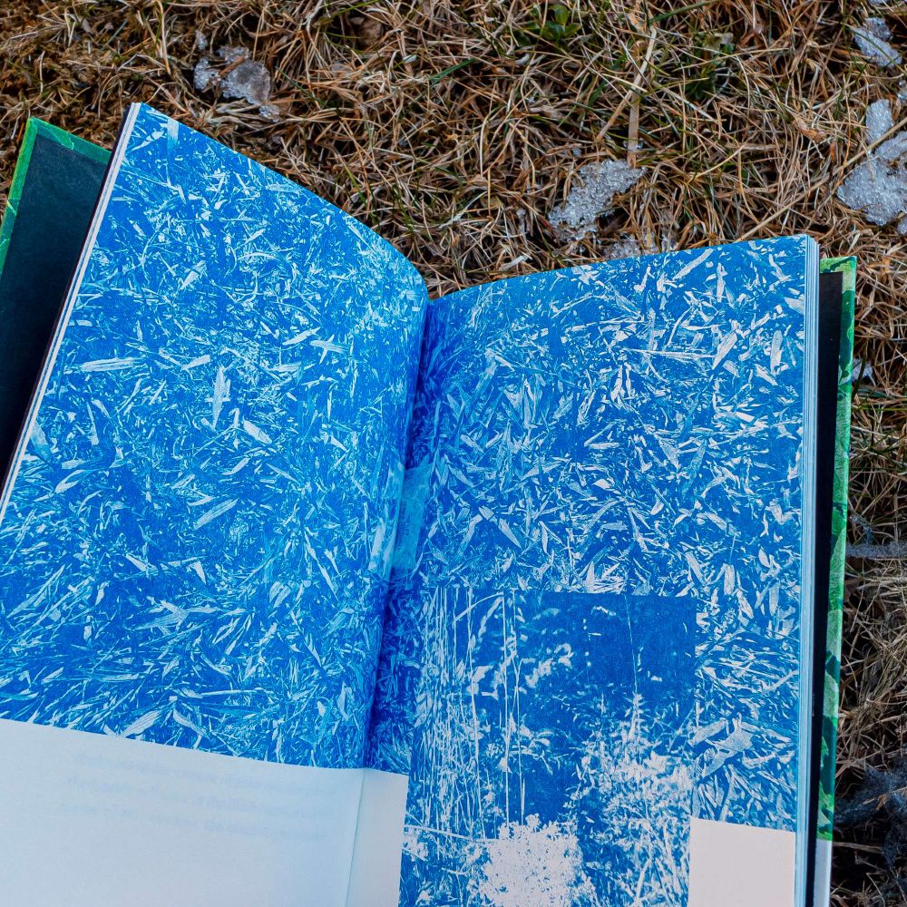 Internal pages of "How to Fight No One" against snow and dead grass, showing blue monochrome photograph collage of grass and flowers.