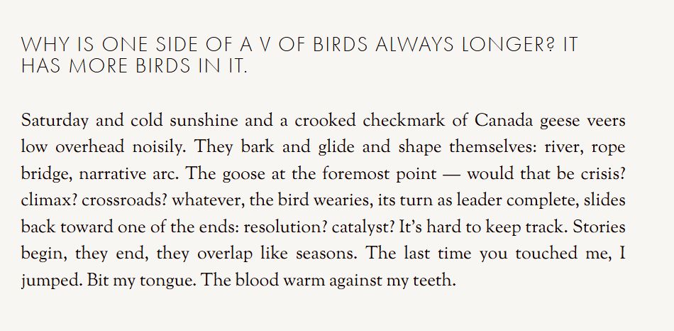 Why Is One Side of a V of Birds Always Longer? It Has More Birds in It.

Saturday and cold sunshine and a crooked checkmark of Canada geese veers low overhead noisily. They bark and glide and shape themselves: river, rope bridge, narrative arc. The goose at the foremost point — would that be crisis? climax? crossroads? whatever, the bird wearies, its turn as leader complete, slides back toward one of the ends: resolution? catalyst? It’s hard to keep track. Stories begin, they end, they overlap like seasons. The last time you touched me, I jumped. Bit my tongue. The blood warm against my teeth.