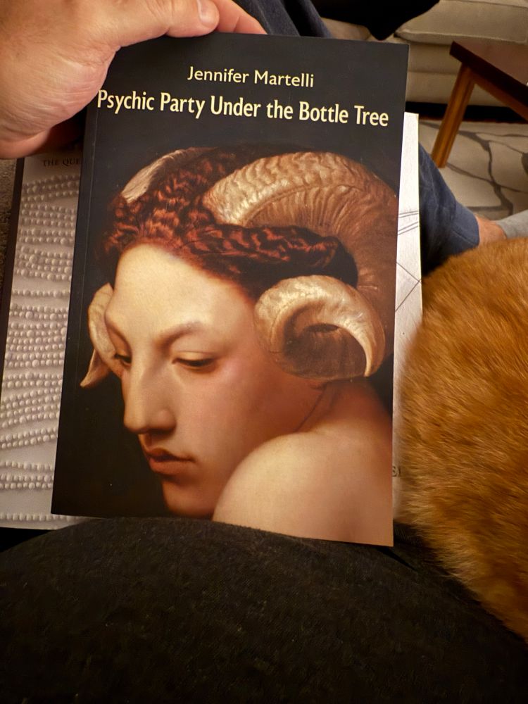 The book of poems Psychic Party Under the Bottle Tree, by Jennifer Martelli 