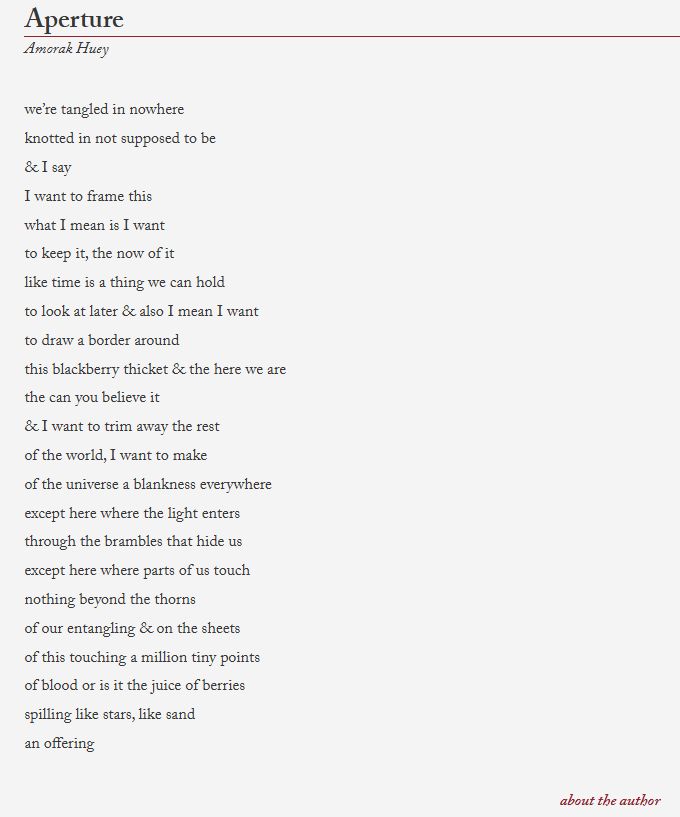 Aperture
Amorak Huey

we’re tangled in nowhere
knotted in not supposed to be
& I say
I want to frame this
what I mean is I want
to keep it, the now of it
like time is a thing we can hold
to look at later & also I mean I want
to draw a border around
this blackberry thicket & the here we are
the can you believe it
& I want to trim away the rest
of the world, I want to make
of the universe a blankness everywhere
except here where the light enters
through the brambles that hide us
except here where parts of us touch
nothing beyond the thorns
of our entangling & on the sheets
of this touching a million tiny points
of blood or is it the juice of berries
spilling like stars, like sand
an offering