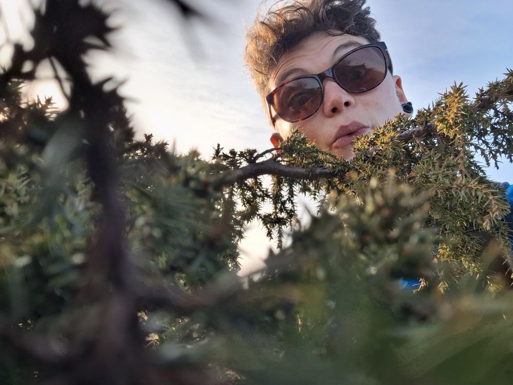 A person's face appears out from a green and thorny shrub. They look happily surprised, their eyebrows have migrated to above their sunglasses.