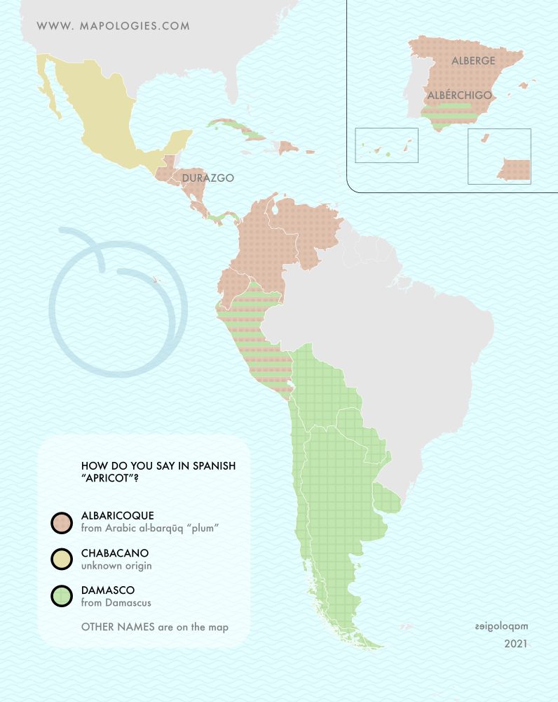 Mapping the word apricot in Spanish