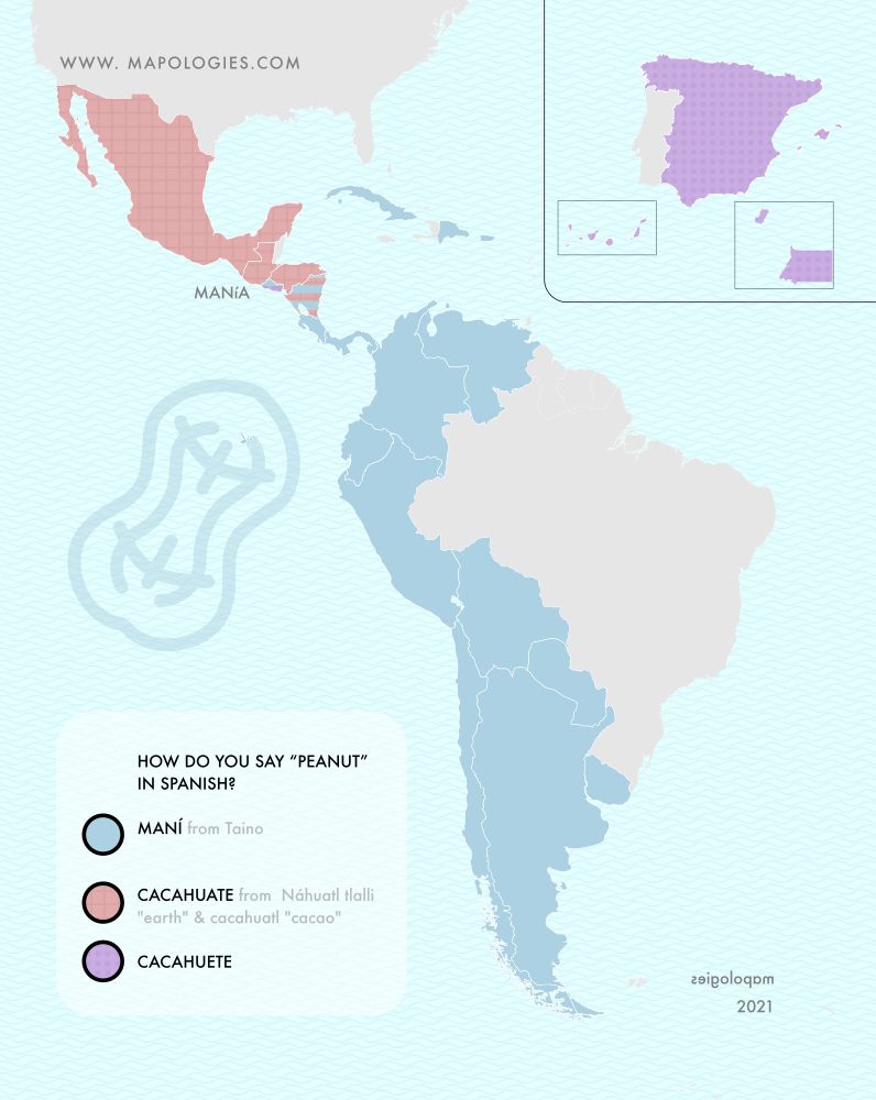 mapping the word peanut in Spanish