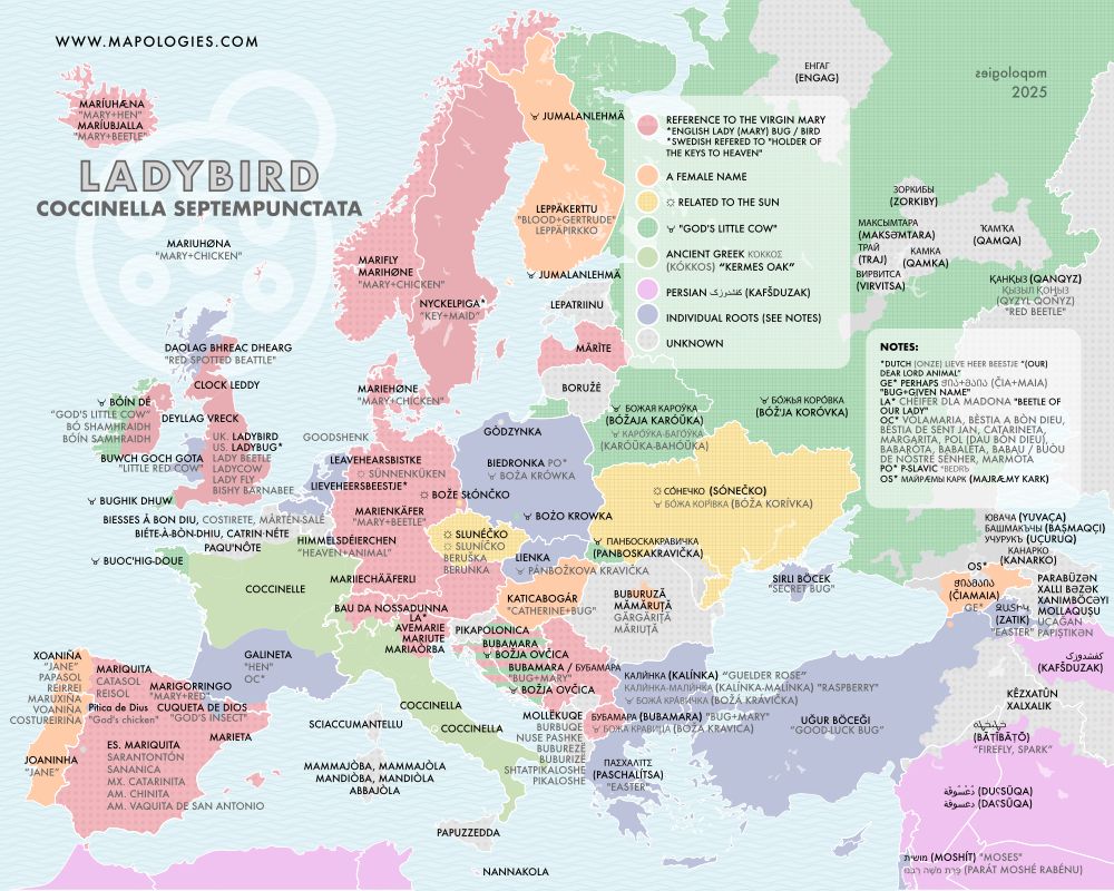 etymology map of ladybird