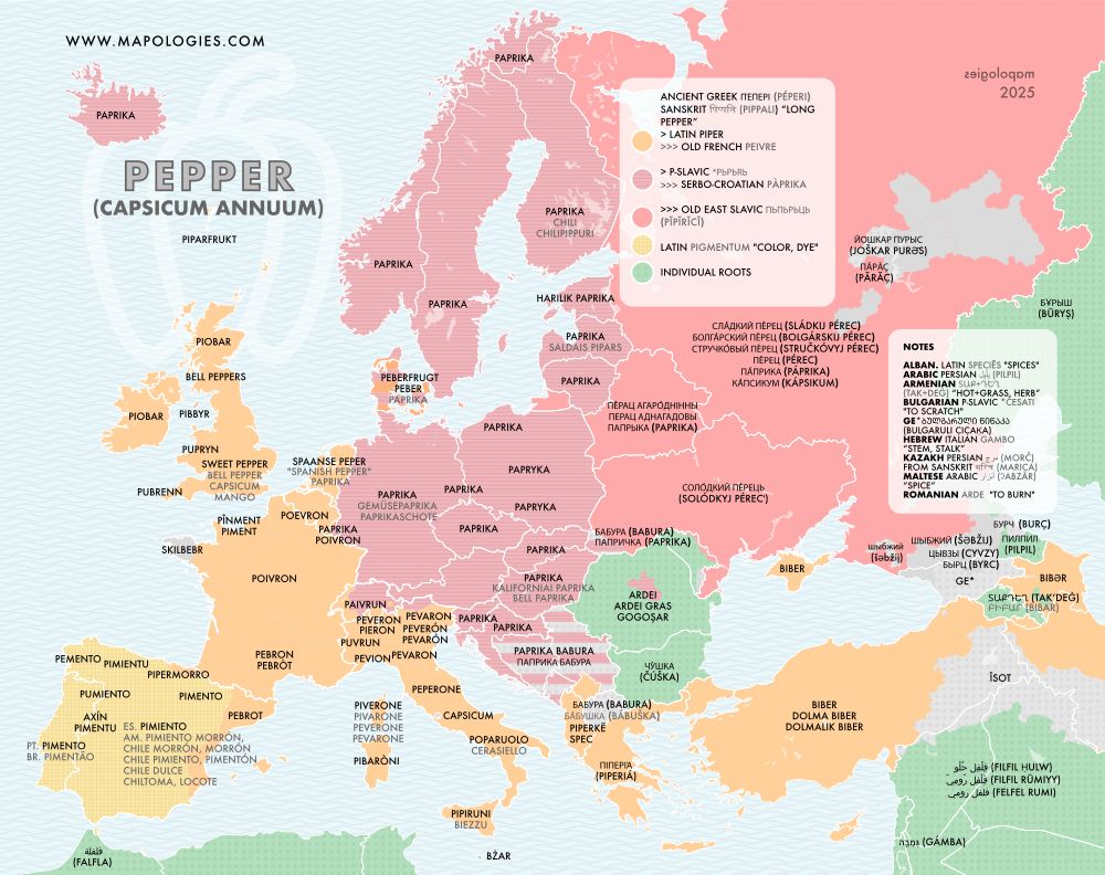 Etymology map of sweet pepper or caspicum annum